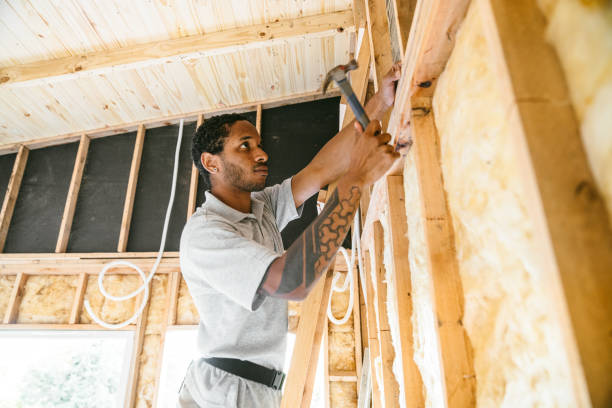 Best Insulation for New Construction  in Hamburg, IA