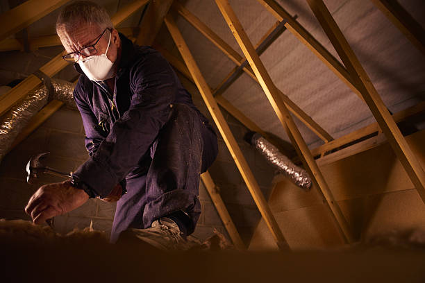 Best Local Insulation Services  in Hamburg, IA