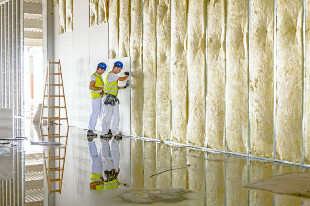 Reliable Hamburg, IA Insulation Contractor Solutions